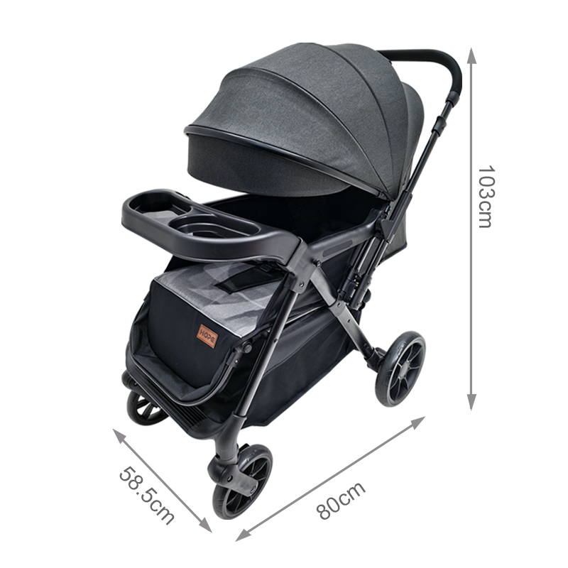 Reversible Push Handle Pushchair